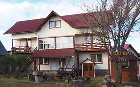 Pension Doru Guest House 2*